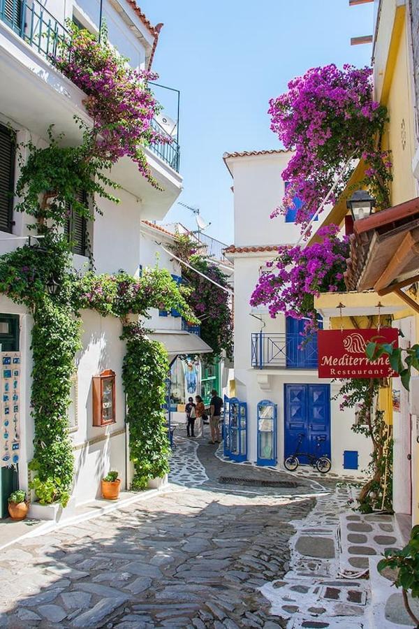 Mikri Gonia Villa Skiathos Town Bagian luar foto